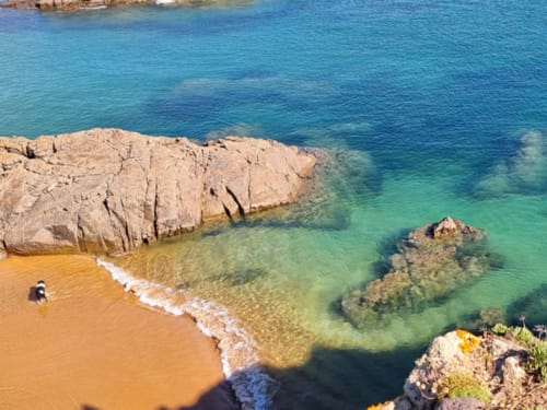 vacances avec animaux île d'Yeu