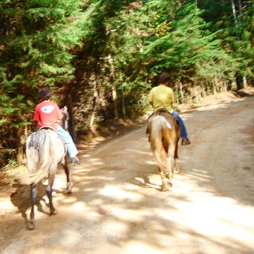 Duas pessoas em passeio a cavalo em trilha florestal no Paraíso nas Montanhas em Campos do Jordão