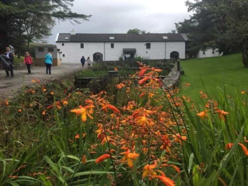 Seabrook Lodge in Clifden, Co. Galway with orange flowers, grounds and guests outside white building
