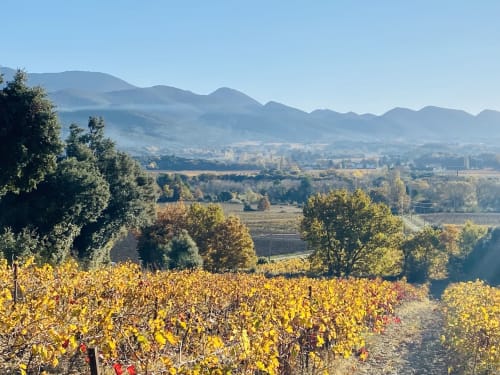 Vue automnale sur le vignoble dominant la vallée de Grignan avec montagnes lointaines et ville médiévale en contrebas