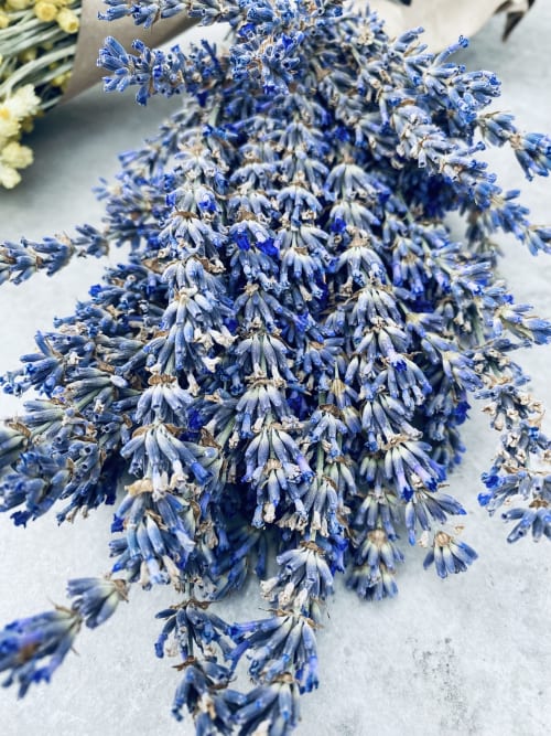 Fleurs de lavande bleue séchée exposées à La vie de château B&B à Grignan, France