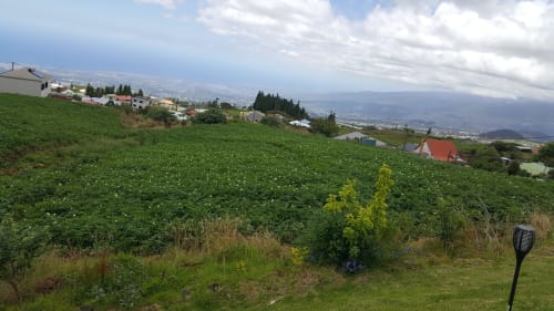 Vue pittoresque sur la vallée verdoyante de la Plaine des Cafés, La Réunion, avec maisons et toitures rouges