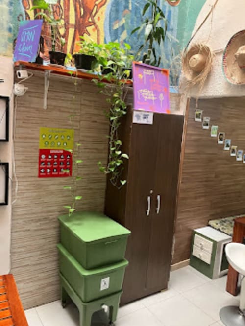 Quarto colorido no Hostel New Ipanema com armário verde, arte de parede, plantas e acabamento em madeira