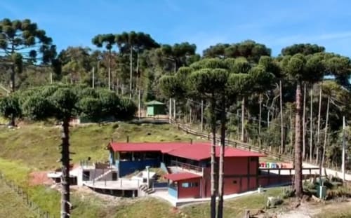 Villa Paraíso nas Montanhas com telhado vermelho em Campos do Jordão, cercada por pinheiros