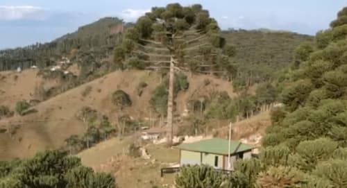 Villa de montanha na Paraíso nas Montanhas cercada por morros florestados em Campos do Jordão
