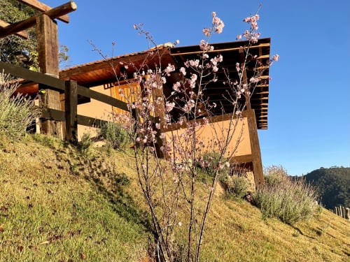 Villa Paraíso nas Montanhas em Campos do Jordão com arquitetura de madeira, flores em flor e vistas da montanha