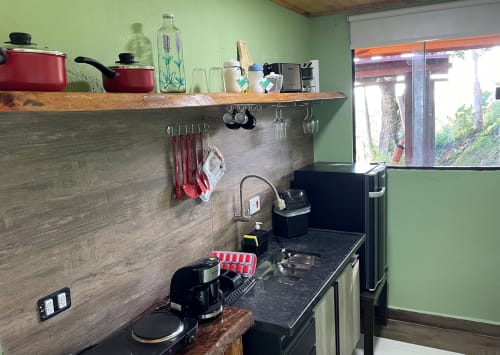 Cozinha da villa na montanha em Paraíso nas Montanhas com paredes verdes, prateleira de madeira, utensílios vermelhos e aço inoxidável