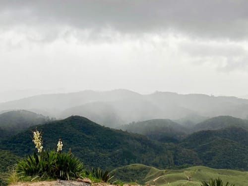 Vales montanhosos envoltos em neblina, com colinas verdejantes e flores silvestres em Paraíso nas Montanhas, Campos do Jordão