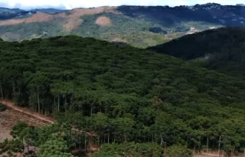 Paisagem montanhosa exuberante em Paraíso nas Montanhas, Campos do Jordão, com colinas ondulantes e vistas de vale