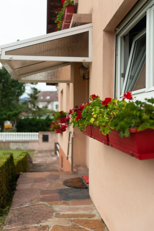 Géranium du gîte Maison Gatsby Alsace