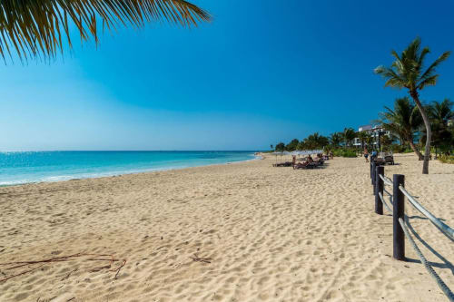 Playa virgen del Resort Mareazul con aguas turquesas, palmeras y cielo azul en Playa del Carmen