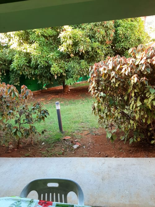 Garden view from Serenity apartment at Mon Refuge resort in Les Anses d'Arlet, Martinique, featuring lush tropical vegetation