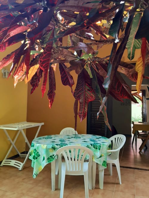 Zone de détente du jardin tropical à l'hôtel Mon Refuge avec caladiums rouges, chaises blanches et motifs turquoise