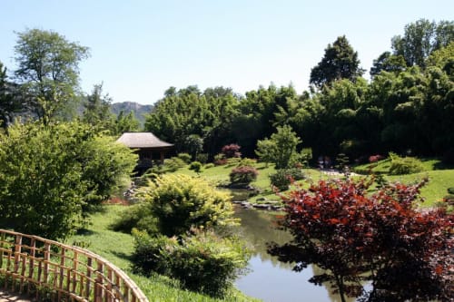 Jardin japonais à La Mas de Trépeloup B&B à Alès avec étang, plantes aux feuillages rouges et pont en bois