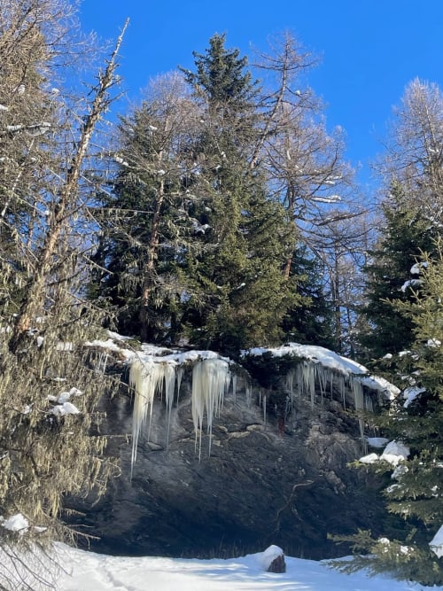 Cascade gelée entourée de sapins enneigés au Chalet Du Sarrasin à Tignes, Alpes françaises