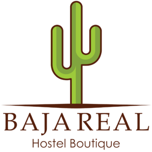 Logo Hostel Boutique BajaReal con cactus saguaro verde y contorno marrón, La Paz, México