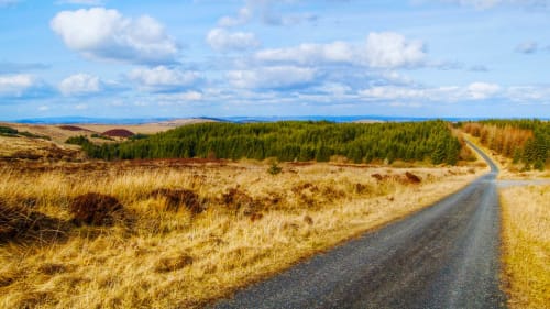 Scenic rural road through County Monaghan near Sliabh Beagh Hotel, featuring golden grassland and coniferous forest