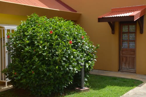 Colorful exterior of Residence de Vacances Mon Refuge in Martinique with lush flowering shrub and wooden door entrance