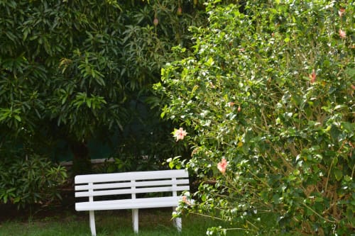 White bench nestled in lush garden with blooming pink flowers and climbing vines at Residence de Vacances Mon Refuge,