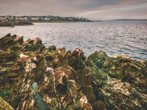 Mossy rocks and sea view overlooking Wicklow coast with residential properties visible on the hilltop shore.