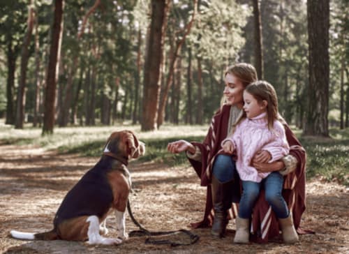 escapada al valle del baztán con mascotas