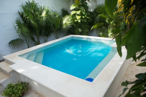 Luminosa piscina de inmersión azul turquesa rodeada de plantas tropicales en el boutique hotel Cozy House Downtown Cancún
