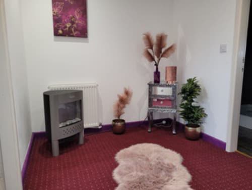 Modern living room at Jane's B&B villa with fireplace, burgundy carpet, white sheepskin rug, decorative plants, and wall art
