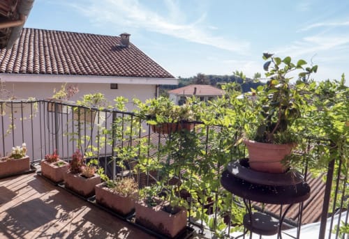 Sunny terrace at CasaRosada with potted plants and garden views in Vidracco, Italy