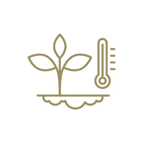 Planta con hojas e icono de termómetro representando control climático en el hostal Cayuco Maya de Bacalar
