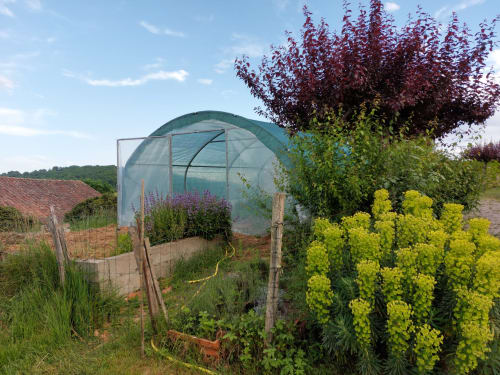 Greenhouse and garden at Les Gites de Campardon in Montières, France with yellow flowering plants
