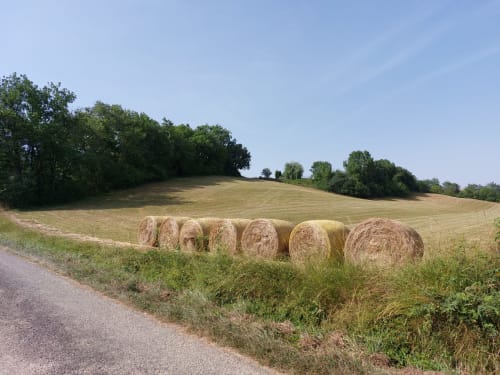 Hay bales in a rolling field at Les Gites de Campardon, a rural French bed and breakfast in Monties.