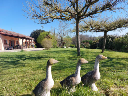 Three geese graze on lush grounds at Les Gites de Campardon B&B in Monties, France