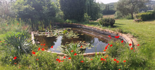 Serene pond garden with red flowers at Les Gites de Campardon, a French countryside bed and breakfast in Montles