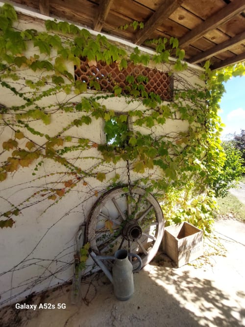 Rustic courtyard at Les Gites de Campardon with ivy-covered walls, wagon wheel, and wooden pergola