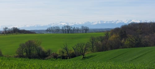 Alpine mountain views beyond rolling green fields at Les Gites de Campardon, a countryside bed and breakfast in Montés,