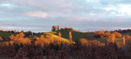 Rolling hills and autumn trees near Les Gites de Campardon, a countryside B&B in Monties, France
