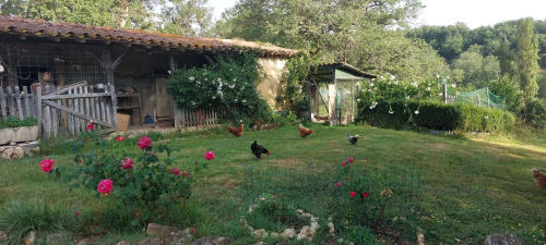 Les Gites de Campardon farmhouse with pink roses, chickens, and rustic garden in Monties, France
