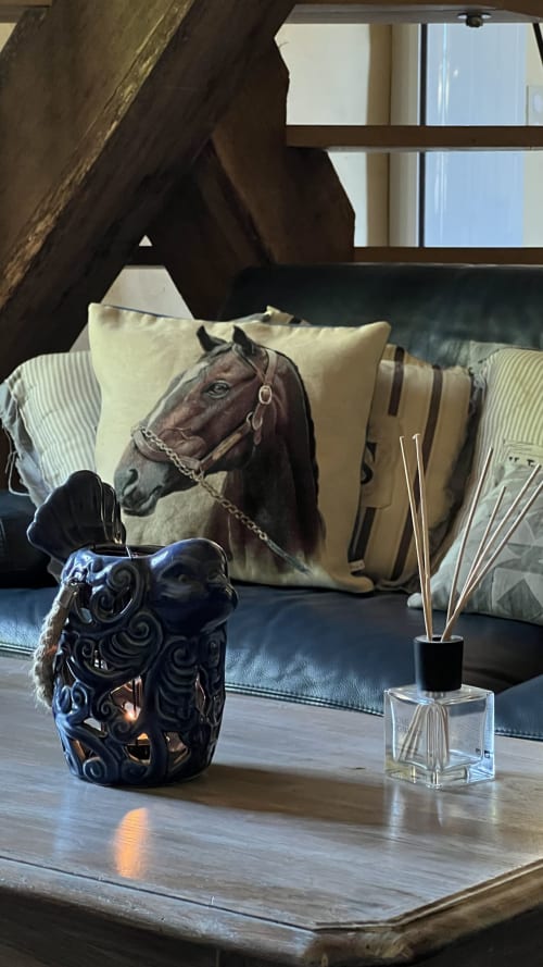Coin salon cosy du gîte Le Lapin sur le Toit avec coussin à motif cheval, bougeoir décoratif et diffuseur de roseaux