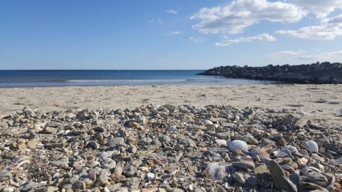 Plage rocheuse avec coquillages et galets, mer et ciel bleus, près du Mas de Trépeloup à Alès, France