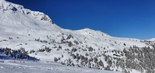 Pentes alpines enneigées avec sapins épars et pistes de ski à Courchevel, Alpes françaises
