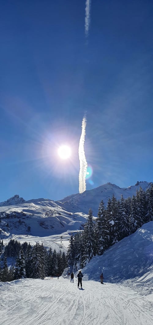 Les pistes enneigées de Courchevel avec sapins chargés de neige et pics montagneux sous un soleil éclatant