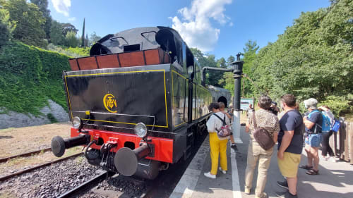 Locomotive à vapeur patrimoniale au Mas de Trépeloup, expérience ferroviaire vintage à Alès, France
