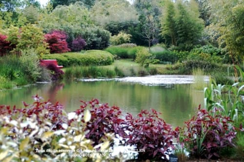 Serene garden pond at Les Gites de Campardon in Monties, France, surrounded by colorful foliage