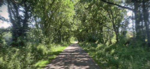 Tree-lined country road leading to Les Gites de Campardon in Monties, France