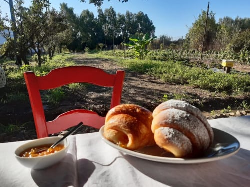 Dolci appena sfornati con marmellata all'Agriturismo Il Pomo d'oro ad Assemini, con vista sugli orti