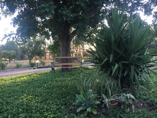 Panca tranquilla sotto un grande albero all'Agriturismo Il Pomo d'oro ad Assemini, Italia