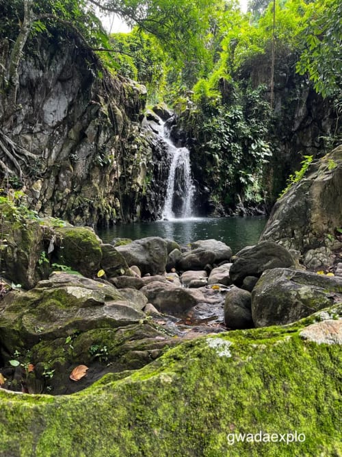 Magnifique cascade et bassin naturel entourés de rochers couverts de mousse et de végétation tropicale aux Gites villa Bagatelle à Sainte-Rose,