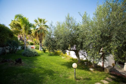 Lush garden with palm trees and olive trees at Villa Maria, Sant'Andrea, Sicily