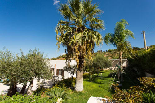 Palm trees and white villa with lush garden at Villa Maria, Sant'Andrea Valderice Sicily