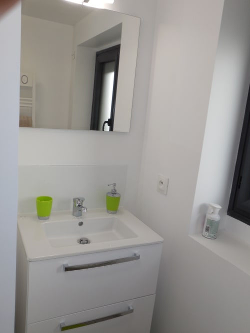Salle de bain moderne de l'appartement toulousain avec vasque blanche, accessoires verts, miroir et lavabo